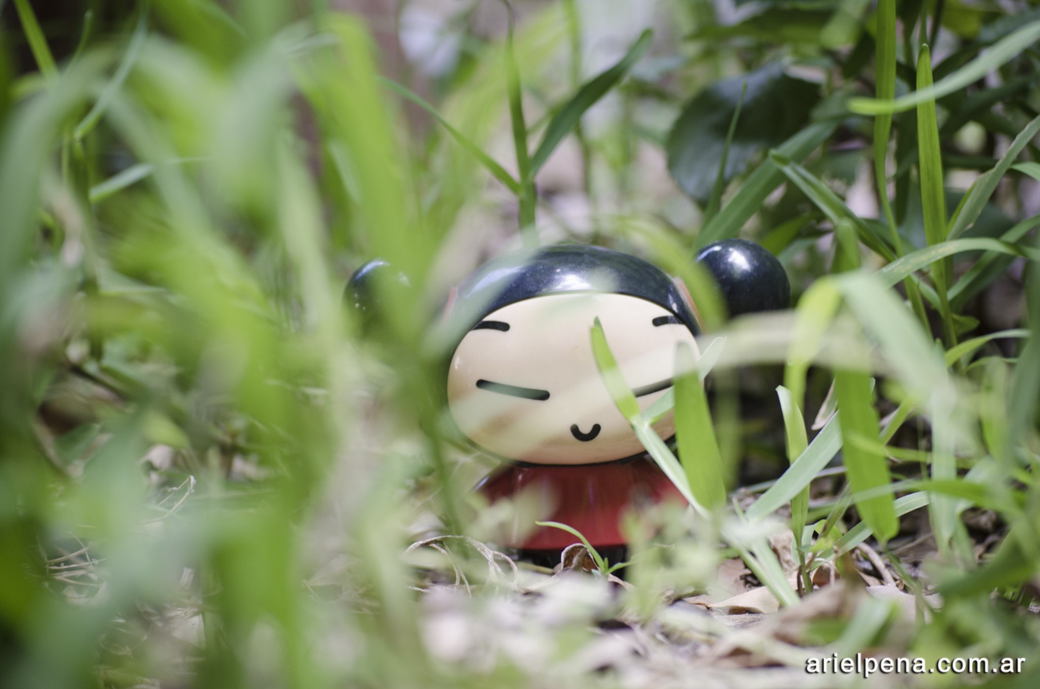 "En el bosque de la China una chinita se perdió..."