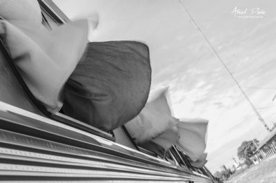 Cortinas olvidadas 