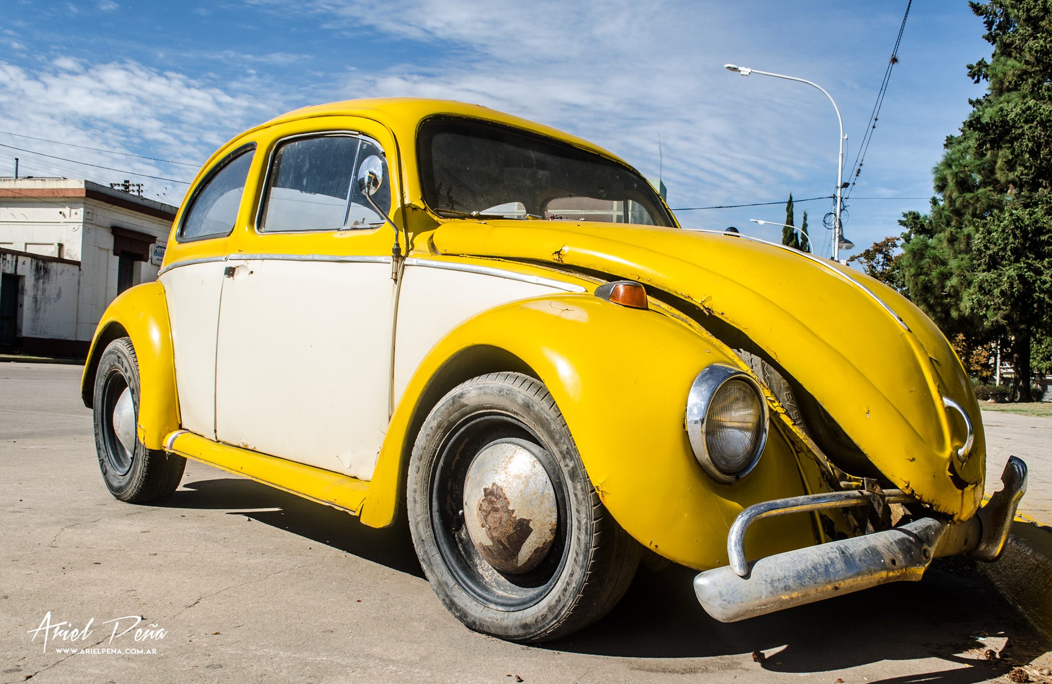 Herbie/Cupido Motorizado